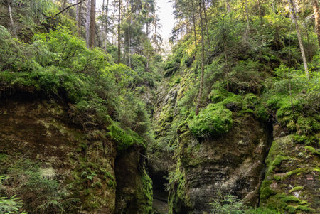 National Park of Adrspach Teplice rocks. Adrspach Teplice Rocks mountain range in Central Sudetes part of the Table Mountains. Beautiful limestone sandstones rocks in Adrspach, Czech Republic.の写真素材