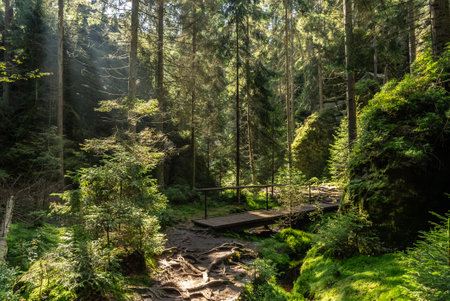 National Park of Adrspach Teplice rocks. Adrspach Teplice Rocks mountain range in Central Sudetes part of the Table Mountains. Beautiful limestone sandstones rocks in Adrspach, Czech Republic.の写真素材