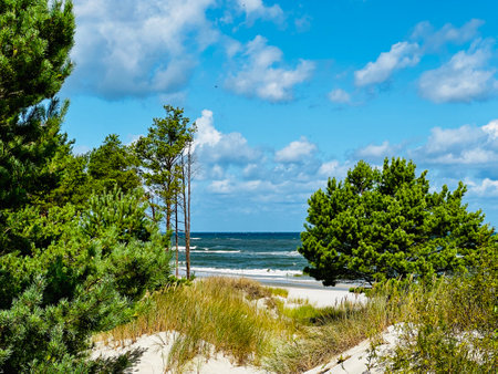 Beautiful wild beaches in Hel Wild beach in baltic sea. Aerial view of Hel Peninsula in Poland, Baltic Sea and Puck Bay. Wild beach in Polandの写真素材