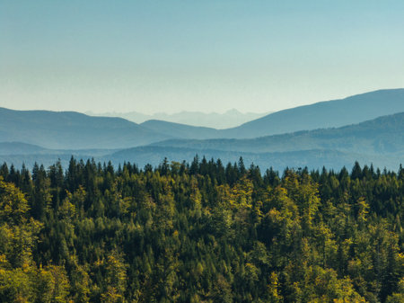 Little Beskids mountain range.Aerial drone view of Rzyki Village in Beskid Maly Poland.Beskid Maly aerial panorama of potrojna hill and czarny gron.Czarny gron in Rzyki, Andrychow, Poland.の写真素材