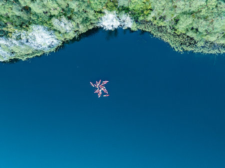 Aerial drone view of people kayaking on a lake surrounded by green forest.Sailing in red kayaks in...