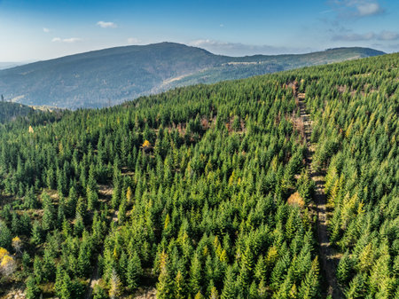 Aerial drone view of mountains in autumn.Colorful autumn trees and forest in the mountains. Beautiful sunny autumn in the mountains.の写真素材