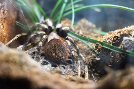 Interior view of the Exotarium. showcasing aquariums with exotic fish, frogs, ants, spiders,...
