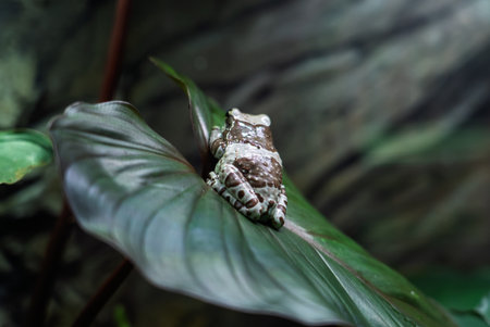 Interior view of the Exotarium. showcasing aquariums with exotic fish, frogs, ants, spiders,...