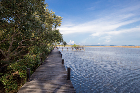 Golden Meadow (Tung Prong Thong), Rayong province, Thailand. locate on mangrove forest on west side of Thailand.の写真素材
