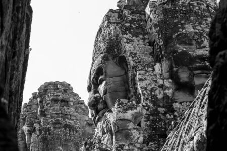 Ta Prohm Angkor Wat Cambodia. The ancient temple of Ta Prohm at Angkor Wat, Cambodia where roots of the jungle trees intertwine with the masonry of these ancient structures producing surreal world.の写真素材