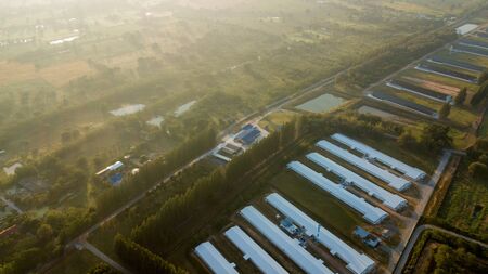 Asia Country Farmland With sunrise sky from drone aerial view with animal housing infrastructure.の写真素材