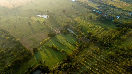Asia Country Farmland With sunrise sky from drone aerial view with animal housing infrastructure.