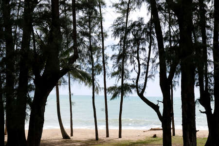 Khao lak beach at Phang Nga Province, Thailand. Nang Thong Beach is hightlight of sea and sand for...