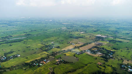 Rice field from bird eye view in the central district of Thailand, way of life of thai peuple,...