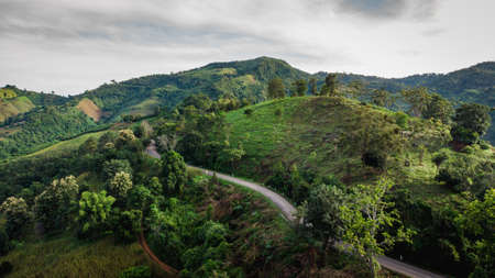 Aerial view of sky road over top of mountain with fog and green jungle after raining in morning, doi...