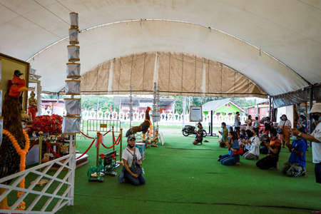 Sichon, Nakhon si thammarat, Thailand - October 2021 : Wat Chedi Ai Khai Temple. Famous temple for making good fortune wishes. Thai people praying and rite redeem offering with a vow to a Ai Khaiのeditorial素材