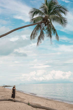 An Asian woman stands at the beach under a large coconut tree facing the sea.の写真素材