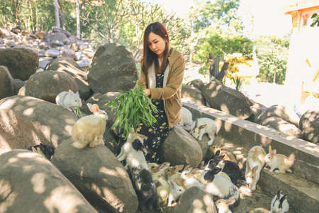 Beautiful Asian woman sitting and playing with real rabbitの写真素材