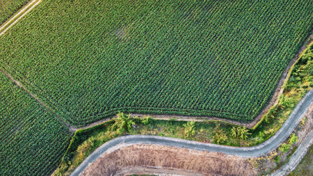 Fly over Solar cells farm beside nature green farm around large industrial factory area. Solar farms are generating renewable energy for the industry.の写真素材