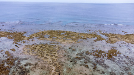 Sea surface in Okinawa with clear water and rock from aerial view by drone.