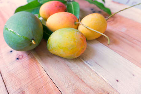 Mangos with leaf on wood. Ripe golden and greenの写真素材