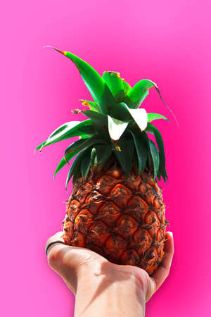 Pineapple on hand over pink background, top view, wide composition. Summer fashion, holiday conceptの写真素材