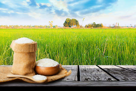 Jasmine rice in bowl wooden and sack on wooden table with the rice field backgroundの写真素材