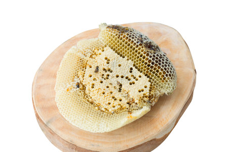 Organic honeycomb isolated on white backgroundの写真素材