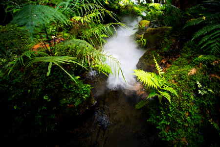 Waterfall in the rainforest. Beautiful waterfall in the rainforest.