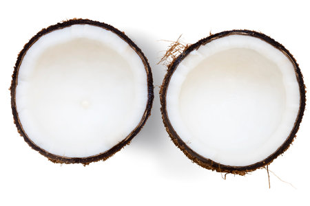 Coconut isolated on white background, full depth of fieldの写真素材