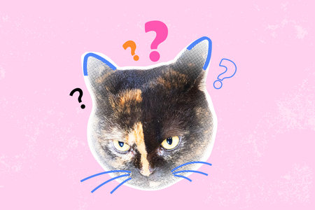 Halftone collage with cat faces. Art collage digital pop modern art