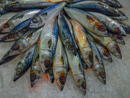 Mackarel Fresh fish. Mackarel Fresh on ice to maintain freshness of the food. Purchased in the market. Fish for cooking.の写真素材