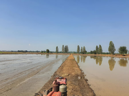 The tractor is working on the rice field in the countryside of Thailand.の写真素材