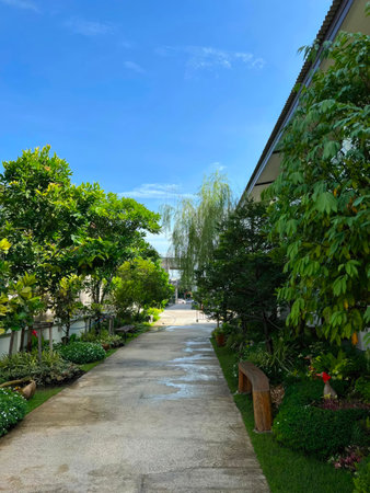 Walkway in the garden with trees and blue sky background, Thailand.の写真素材