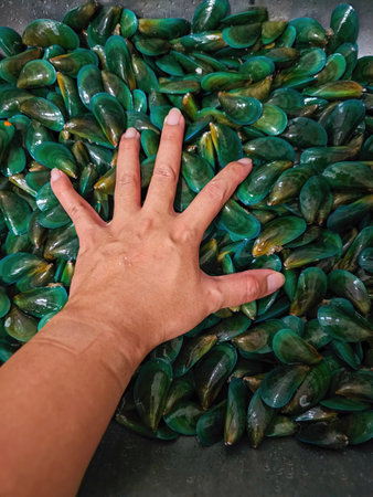 Close up of hand of a woman holding green mussel in the market