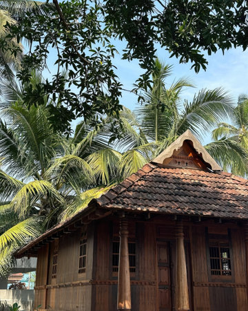 Old wooden house with a roof of palm trees on the background of blue skyの写真素材