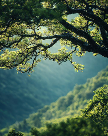 Discover the peaceful beauty of a lush forest landscape where gentle sunlight filters through...