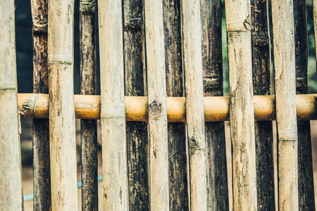 Close up bamboo wall , bamboo wall backgroundの写真素材