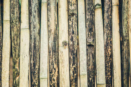 Close up bamboo wall , bamboo wall backgroundの写真素材