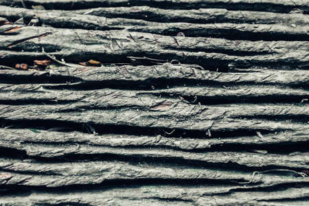 Texture of old tree stump with cracks, wooden backgroundの写真素材