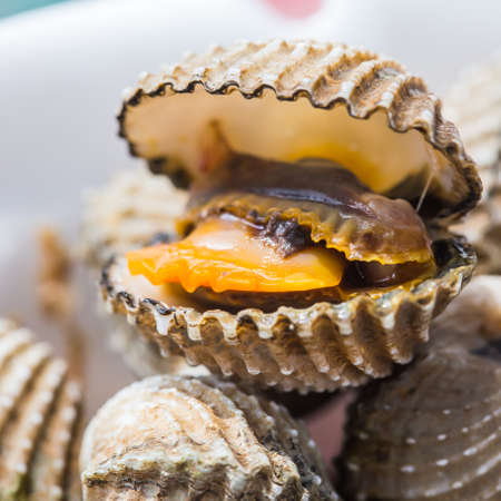 Delicious boiled or steamed cockles(Scallop seafood) food background or manu. shellfish smile....