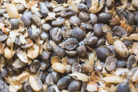 close up of green coffee beans ready for roastingの写真素材