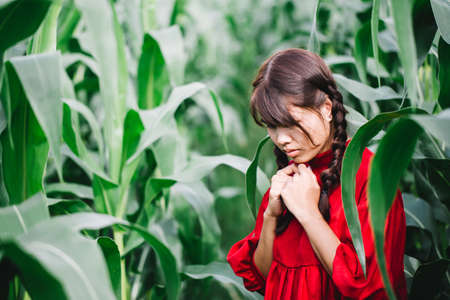 Young Women braided hair wearing a red shirt standing in a cornfield. Hipster concept.の写真素材