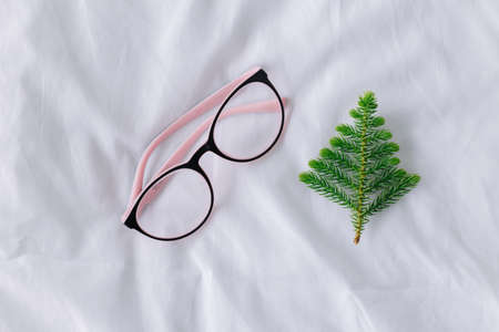 Pine tree or Christmas leaves and glasses on bed with copy space.の写真素材