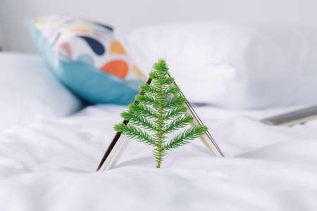 Pine tree or Christmas leaves and note on bed with copy space.