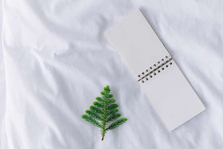 Pine tree or Christmas leaves and note on bed with copy space.の写真素材