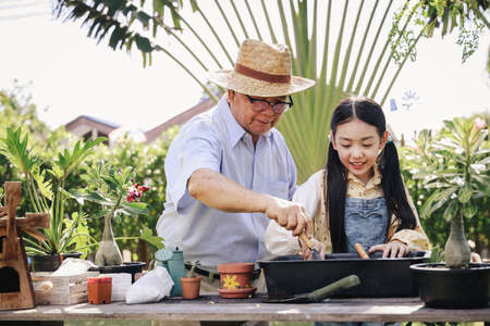 Asian retirement grandfather and pretty granddaughter helping prepare planting soil together for planting trees at home garden. Happy and enjoy family outdoor activity in holiday.の写真素材
