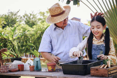Asian retirement grandfather and pretty granddaughter helping prepare planting soil together for planting trees at home garden. Happy and enjoy family outdoor activity in holiday.の写真素材
