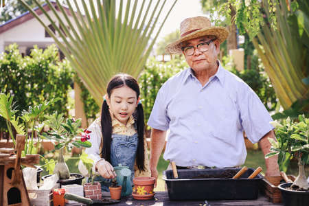 Asian retirement grandfather and pretty granddaughter helping prepare planting soil together for planting trees at home garden. Happy and enjoy family outdoor activity in holiday.の写真素材