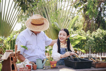 Asian retirement grandfather and pretty granddaughter helping prepare planting soil together for planting trees at home garden. Happy and enjoy family outdoor activity in holiday.の写真素材