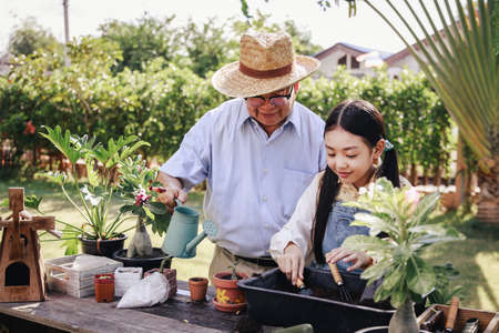Asian retirement grandfather and pretty granddaughter helping prepare planting soil together for planting trees at home garden. Happy and enjoy family outdoor activity in holiday.の写真素材