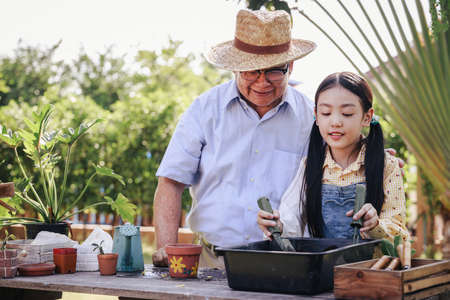 Asian retirement grandfather and pretty granddaughter helping prepare planting soil together for planting trees at home garden. Happy and enjoy family outdoor activity in holiday.の写真素材
