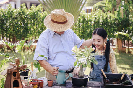 Asian retirement grandfather and pretty granddaughter helping planting together for planting trees at home garden. Happy and enjoy family outdoor activity in holiday.の写真素材