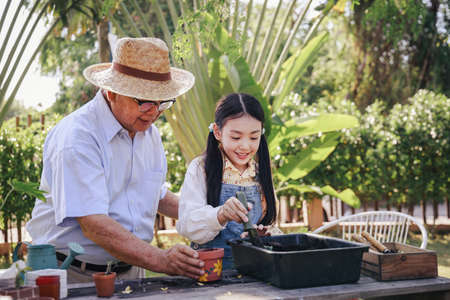 Asian retirement grandfather and pretty granddaughter helping prepare planting soil together for planting trees at home garden. Happy and enjoy family outdoor activity in holiday.の写真素材